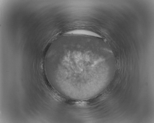 X0000063510363200602172153