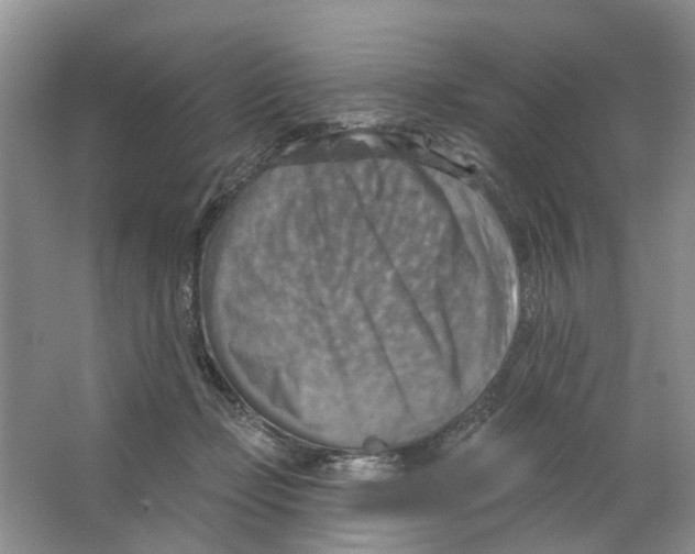 X0000063510365200602172153