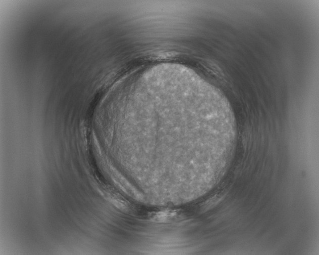 X0000063510366200602172153