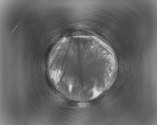 X0000063510371200602172153