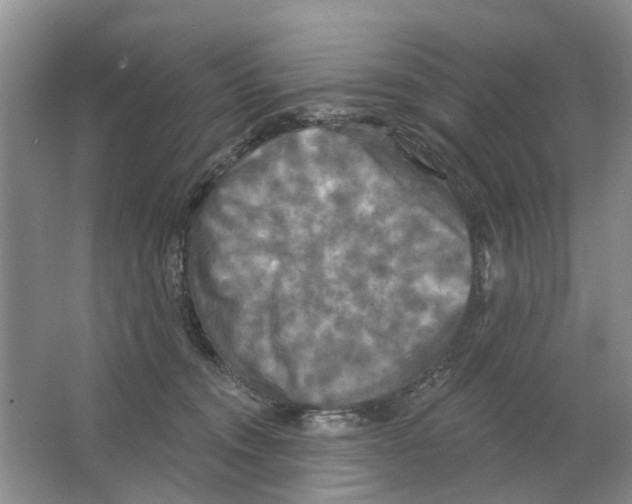 X0000063510372200602172153