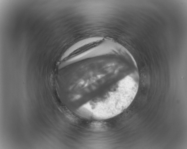 X0000063510375200602172153