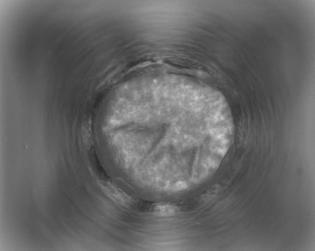 X0000063510376200602172153