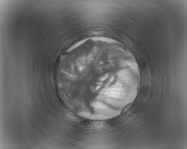 X0000063510377200602172153