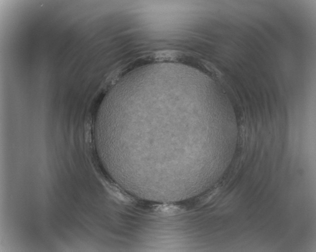 X0000063510379200602172153