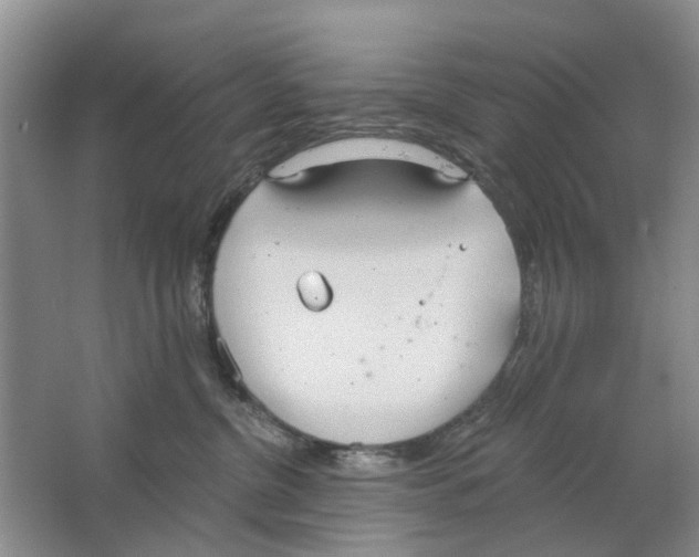 X0000063510380200602172153