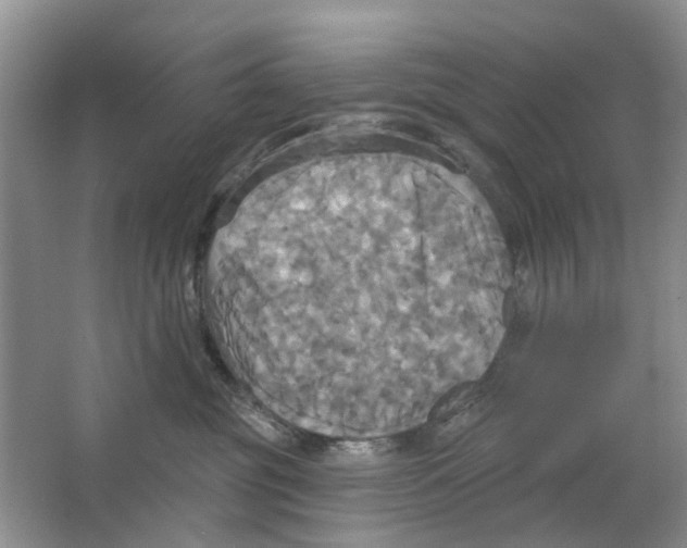 X0000063510381200602172153