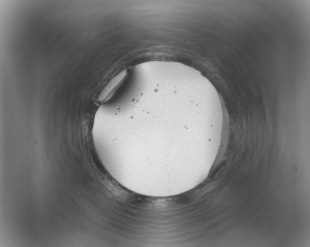 X0000063510382200602172153