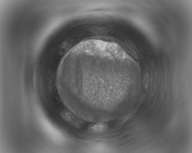 X0000063510383200602172153