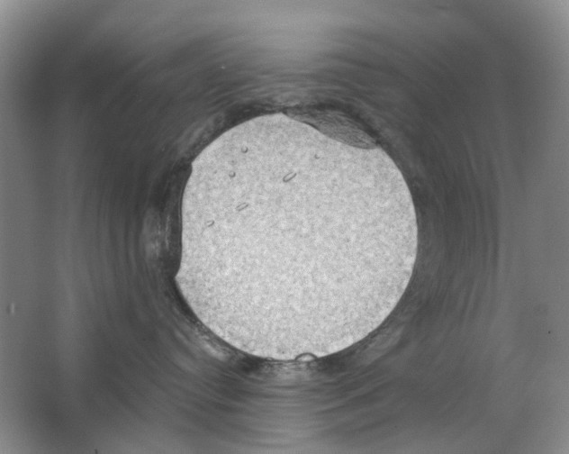 X0000063510384200602172153