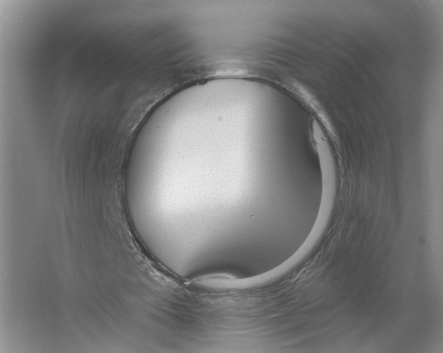 X0000063510385200602172152