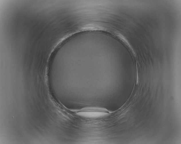 X0000063510387200602172152