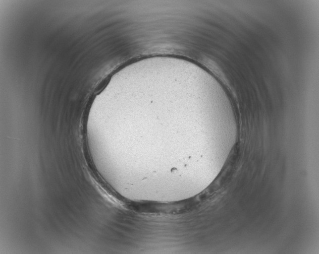 X0000063510389200602172152