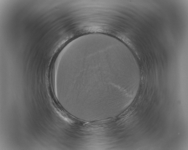 X0000063510390200602172152