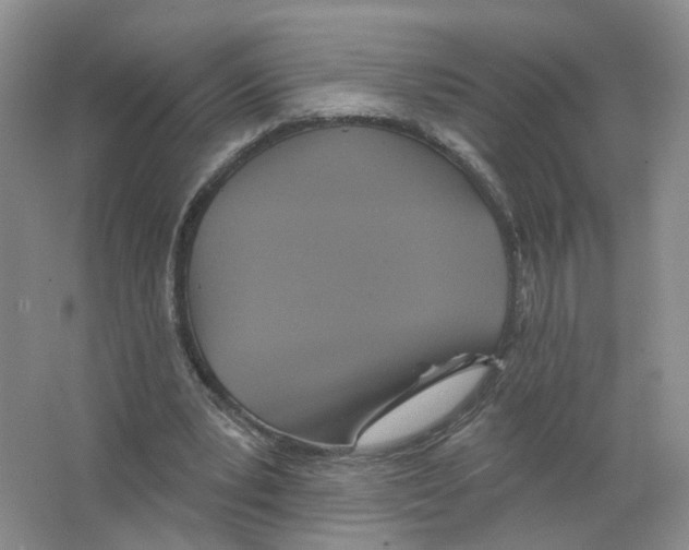 X0000063510391200602172152