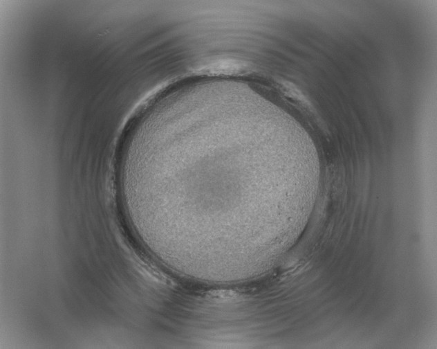 X0000063510392200602172152