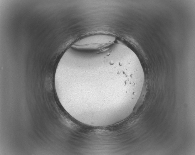 X0000063510393200602172152