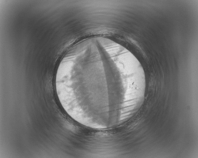 X0000063510394200602172152