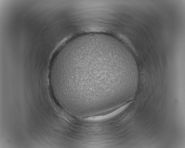 X0000063510395200602172152