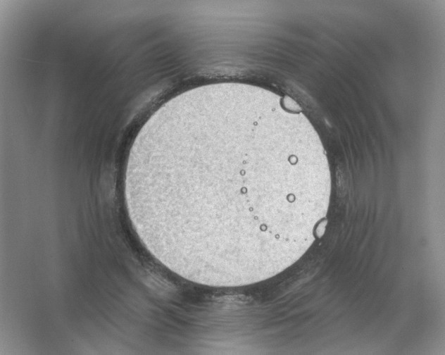 X0000063510396200602172152