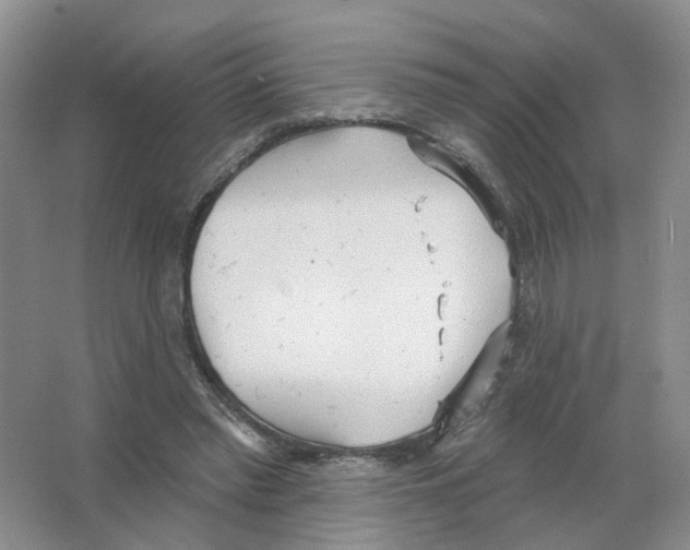 X0000063510397200602172152