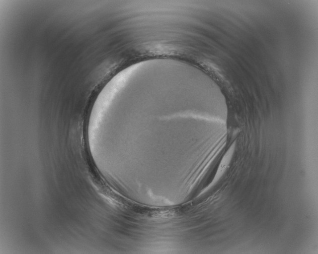 X0000063510398200602172152