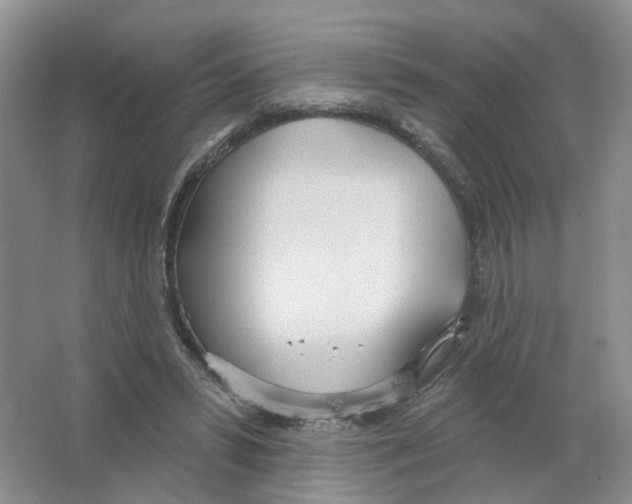 X0000063510399200602172152