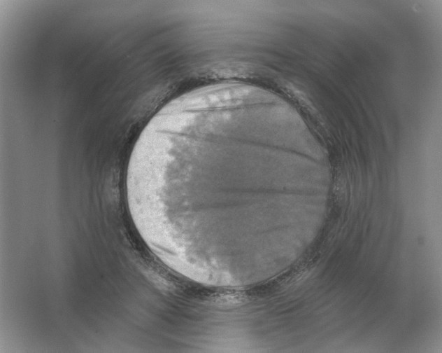 X0000063510402200602172152