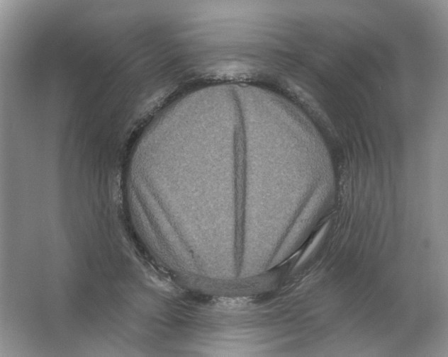 X0000063510403200602172152