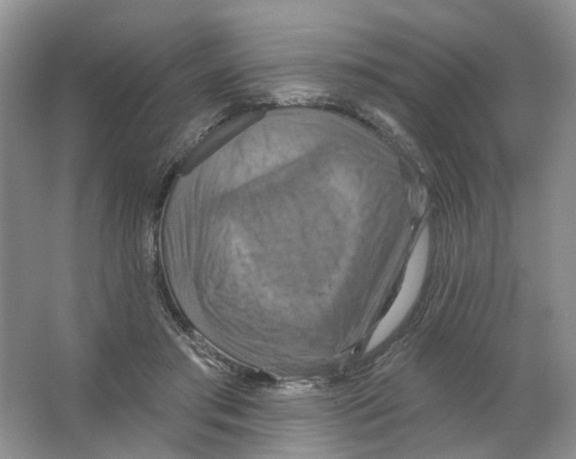 X0000063510405200602172152