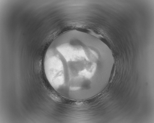 X0000063510406200602172152