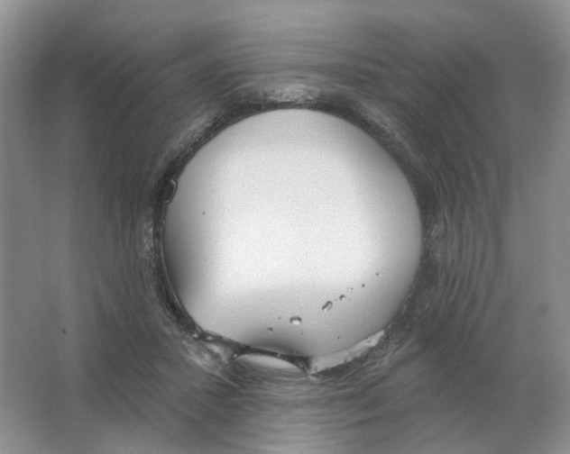 X0000063510407200602172152