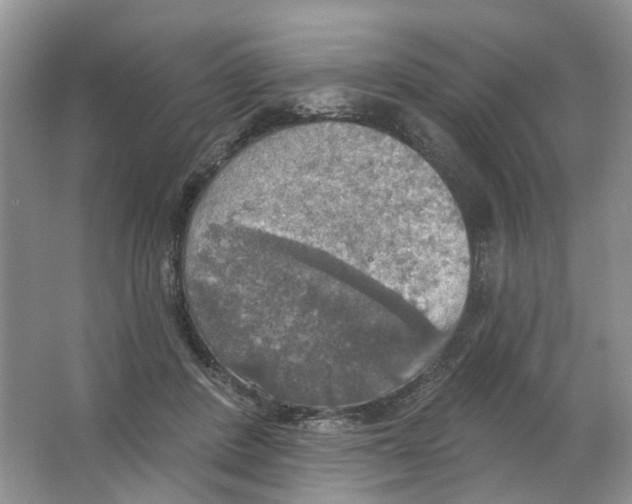 X0000063510408200602172152