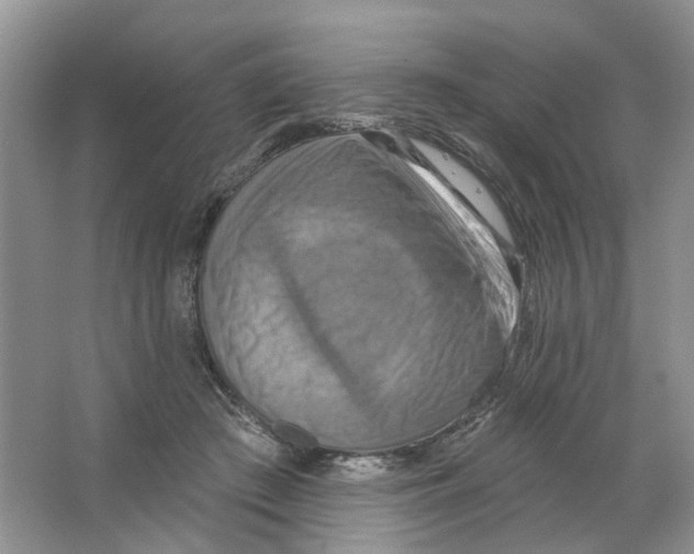 X0000063510409200602172152