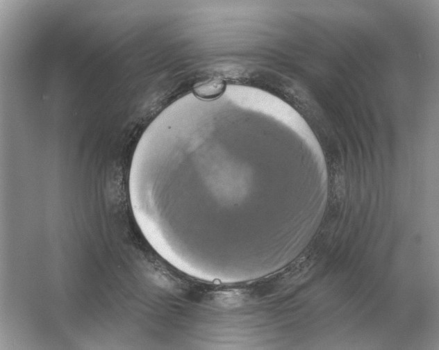 X0000063510411200602172152