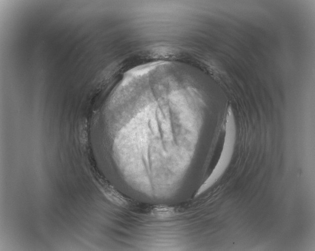 X0000063510413200602172152