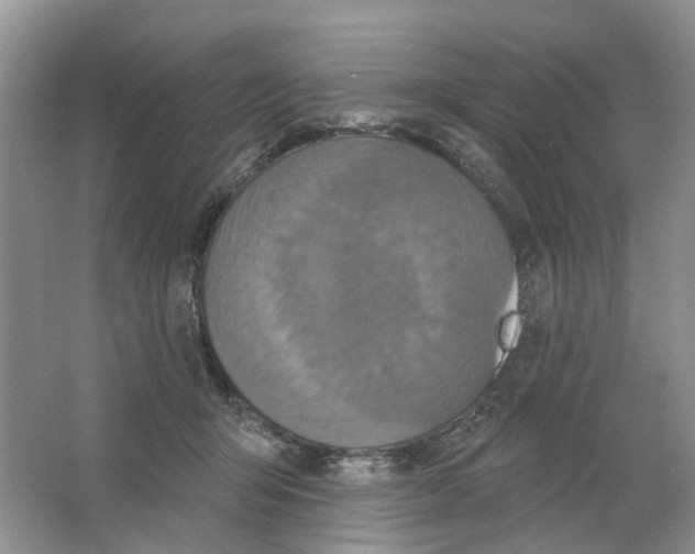 X0000063510415200602172152