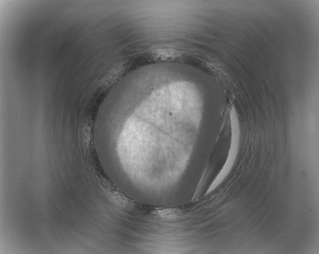 X0000063510417200602172152