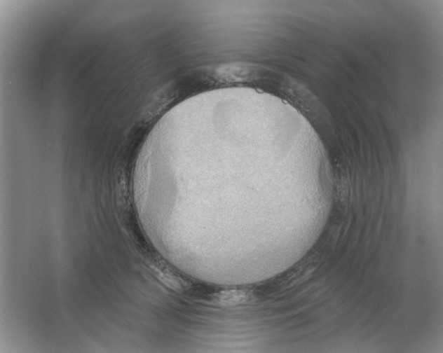 X0000063510418200602172152