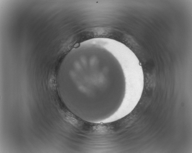 X0000063510419200602172152