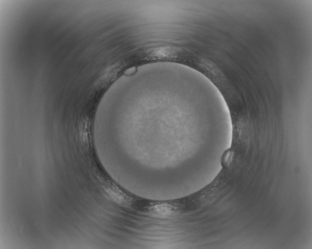 X0000063510423200602172152