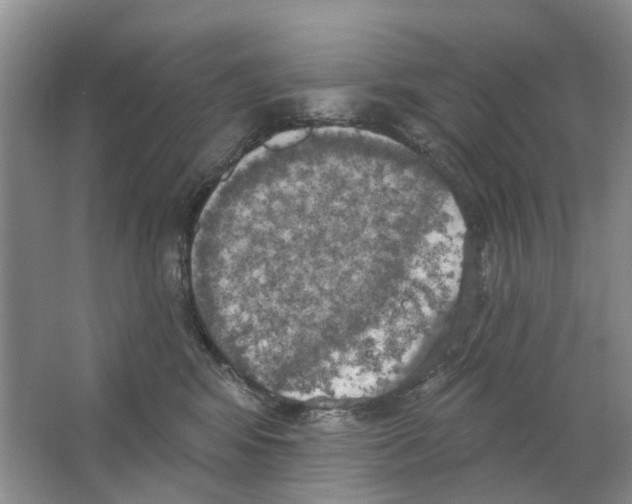 X0000063510424200602172151