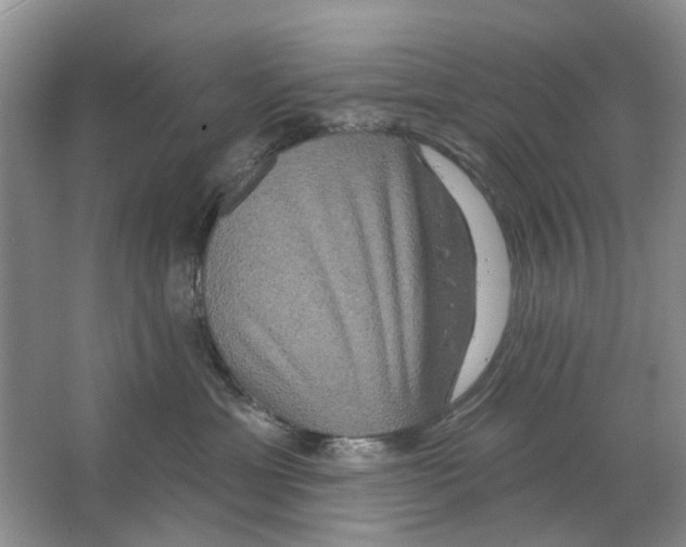 X0000063510429200602172151