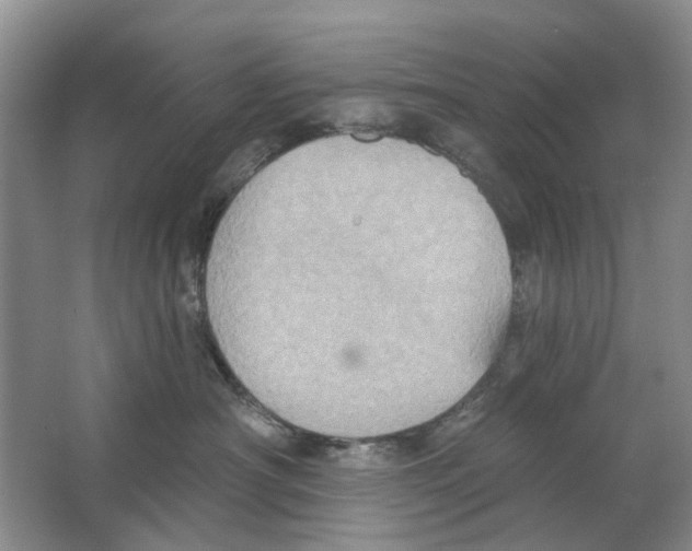 X0000063510430200602172151