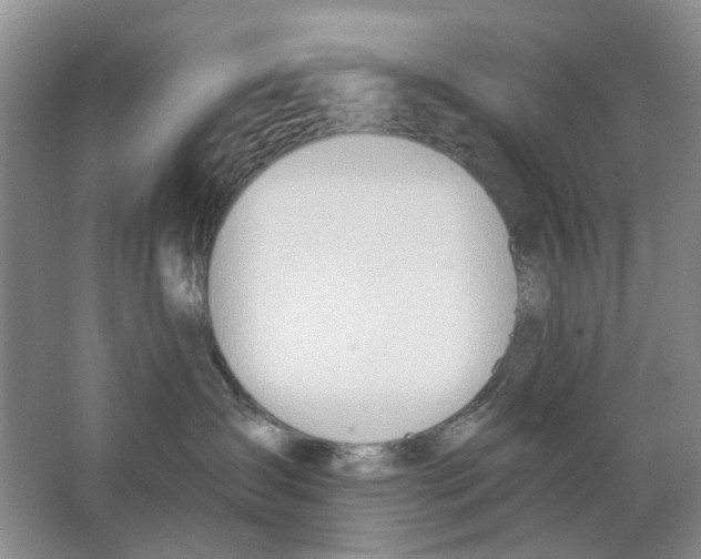 X0000063510431200602172151