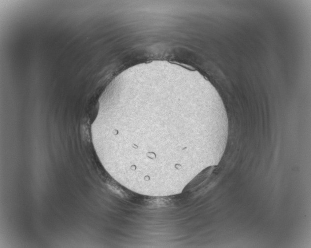 X0000063510432200602172151