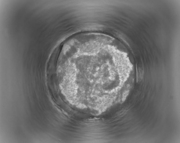 X0000063510435200602172151