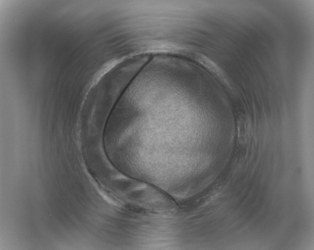 X0000063510436200602172151