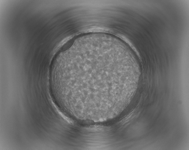 X0000063510437200602172151