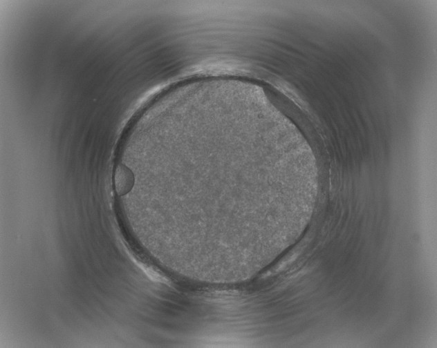 X0000063510438200602172151